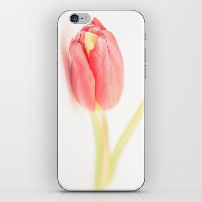 Tulips_02 iPhone Skin