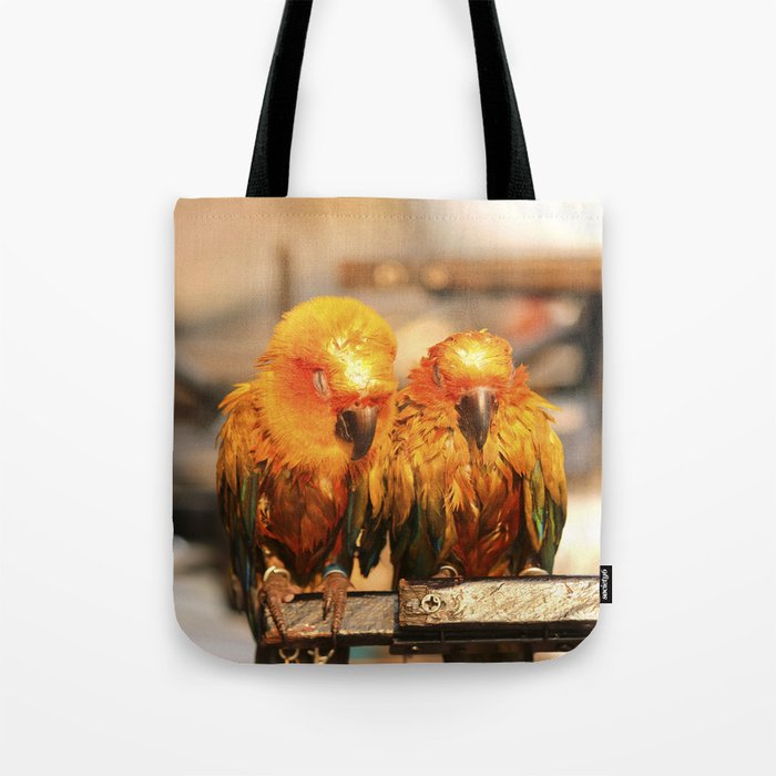 couple parrot photography Tote Bag