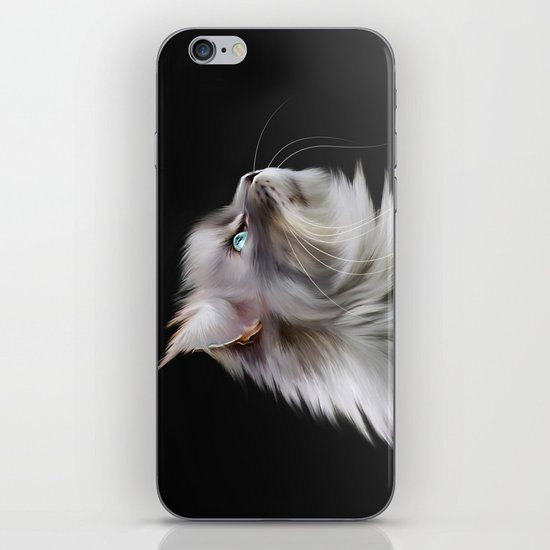 Maine Coon iPhone & iPod Skin