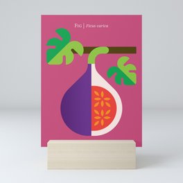 Fruit: Fig Mini Art Print