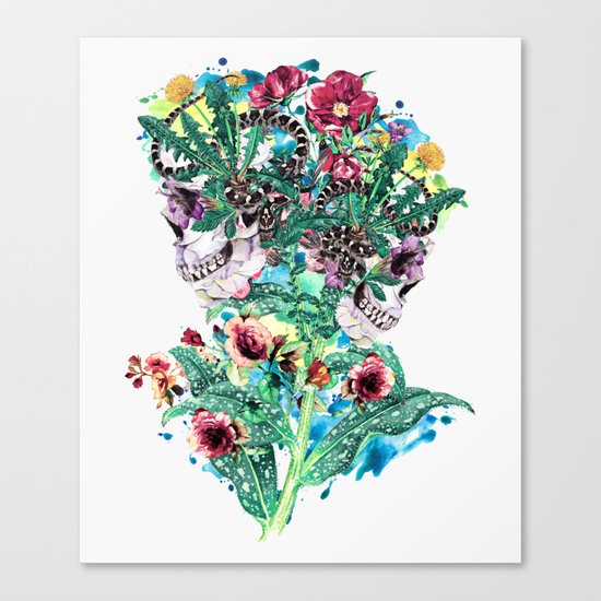 Skull BS Canvas Print
