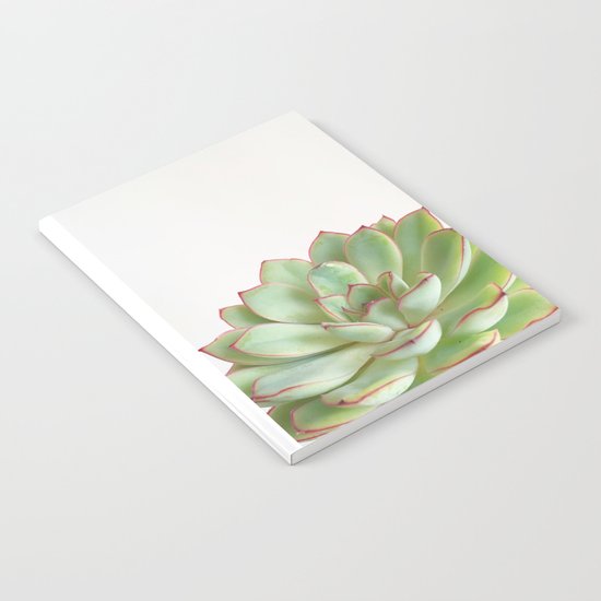 Green Succulent Notebook