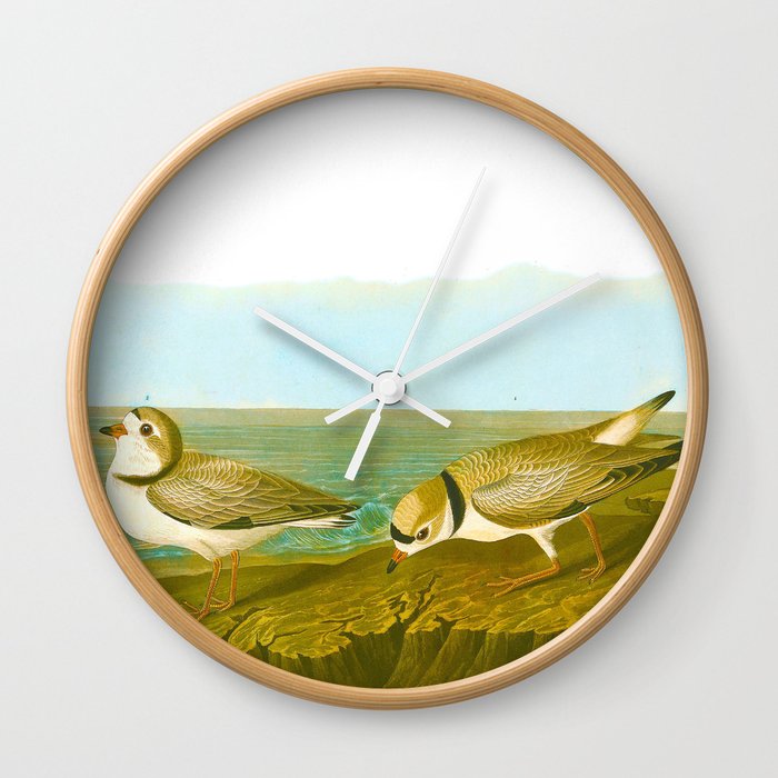 Piping Plover Bird Wall Clock