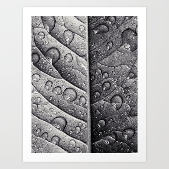 silver leaf Art Print