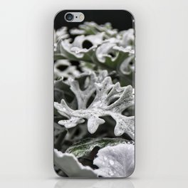Nature Abstract 4 iPhone Skin