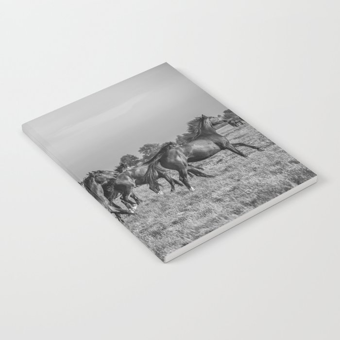 Wild horses running in the sun | Horse photography Netherlands | Nature travel black an white animal photo print Notebook