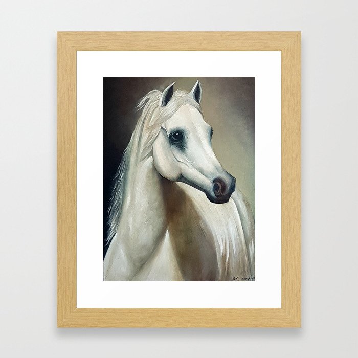 Arabian White Horse Portrait Framed Art Print