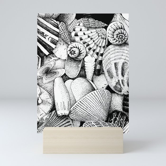 Stippled Sea Shell  Mini Art Print