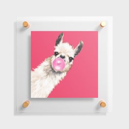 Bubble Gum Sneaky Llama in Red Floating Acrylic Print