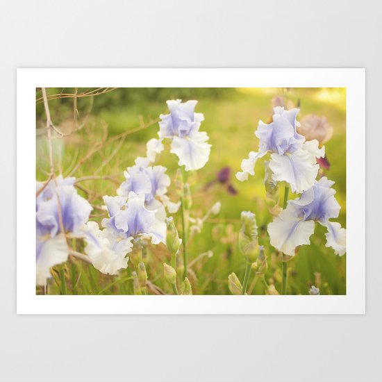 Dreamy Iris Art Print
