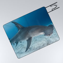 Hammerhead Shark Picnic Blanket