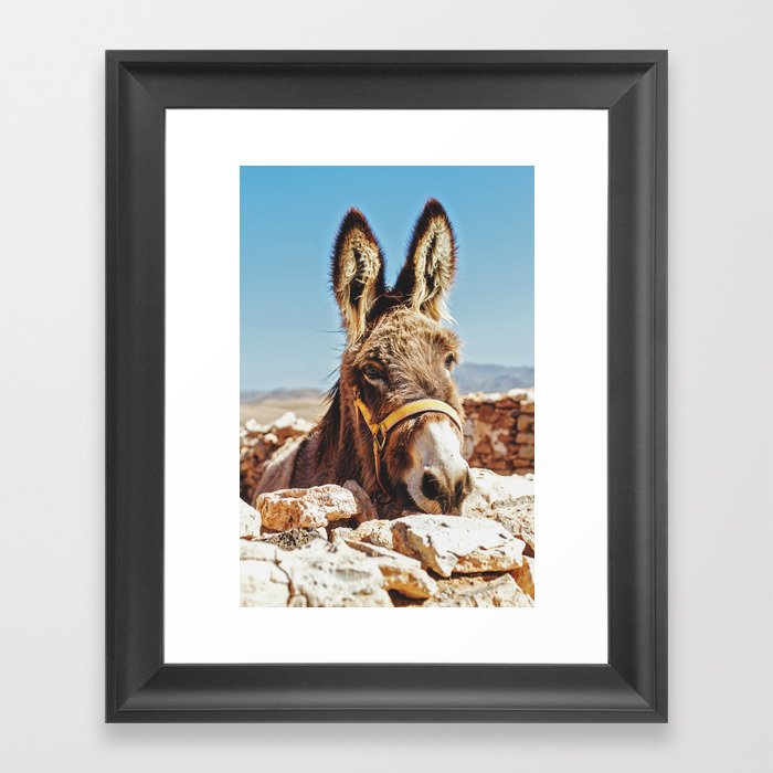 Donkey photo Framed Art Print