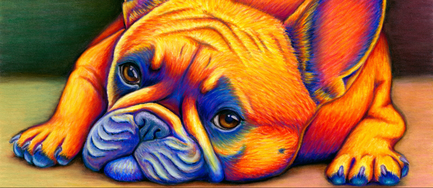 Daydreamer Colorful French Bulldog Coffee Mug By Psychedeliczen