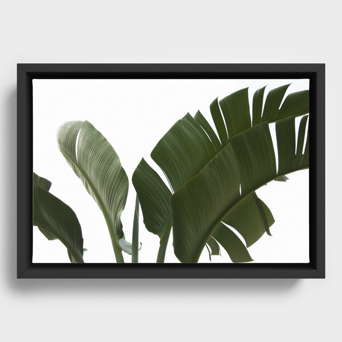 Travellers Palm Leaves 06 Framed Canvas
