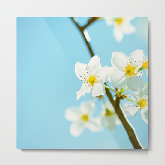 Blue & Blossoms Metal Print