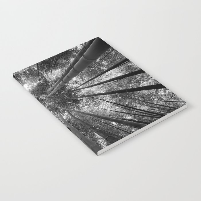 Bamboo forest sky view nature black and white photograph - photogrphy - photographs Notebook