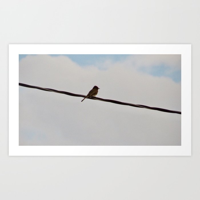 Bird On A Wire Art Print By Casster1 Society6