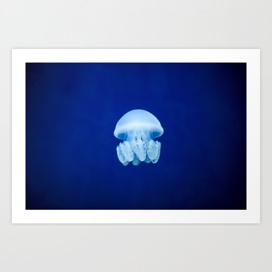 jellyfish Art Print
