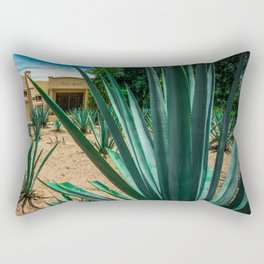 Mexico Photography - Agave Plant In A Mexican Garden Rectangular Pillow