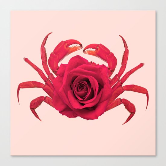 ROSE CRAB Canvas Print