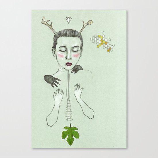 kış (winter) Canvas Print