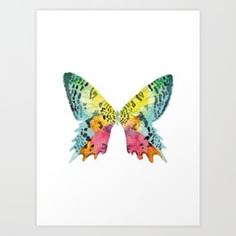 Urania butterfly painting watercolour Art Print