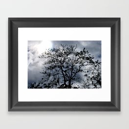Coming of Darkness Framed Art Print