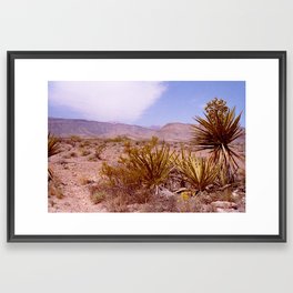 Yucca Desert Framed Art Print