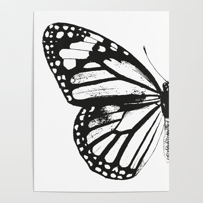 Monarch Butterfly Left Butterfly Wing Vintage Butterflies Black and White Poster by