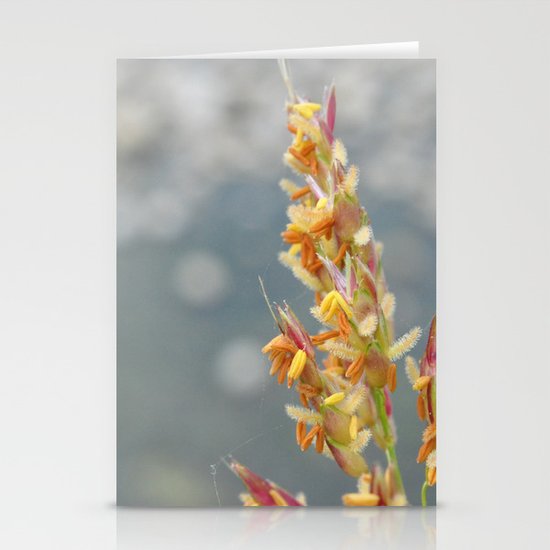 September Stationery Cards