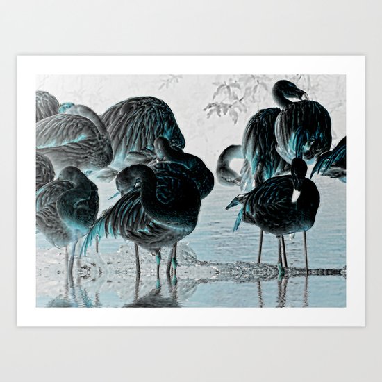 Exotic Flamingos Art Print