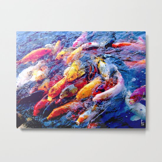Koi Krazy Metal Print