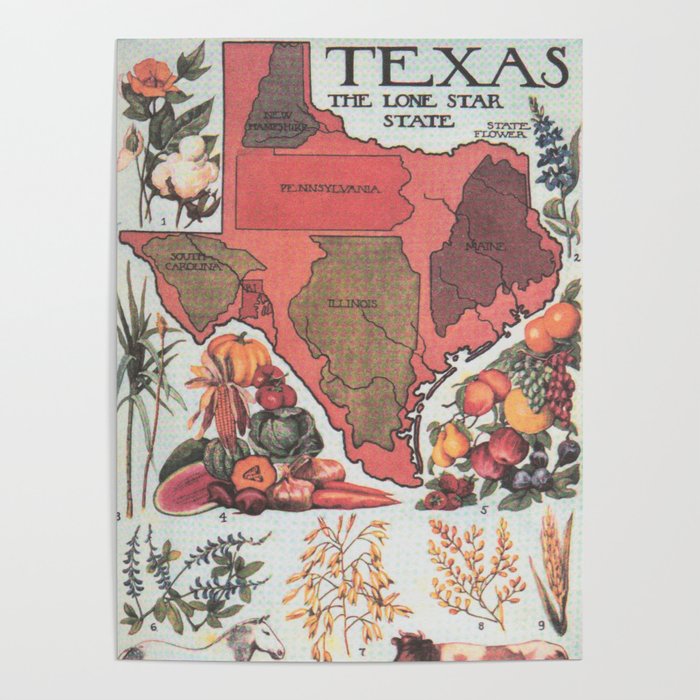 Vintage Texas Agricultural Map (1922) Poster