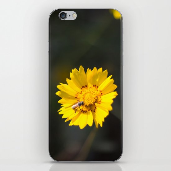 Busy Bee iPhone & iPod Skin