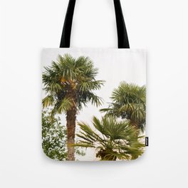 Green palm trees in the evening sun | Tuscany | Italy | Botanical | Nature Photography | Art Print Tote Bag