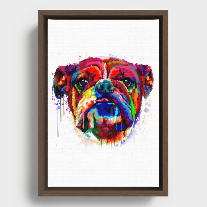 Bull Dog Framed Canvas
