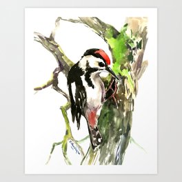 Dawny Woodpecker Art Print | Realism, Painting, Dawnywoodpecker, Woodlanddesign, Woodland, Impressionism, Birdwatching, Vintage, Forest, Birdlover 