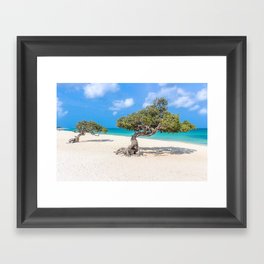 Caribbean Island, Eagle Beach, Aruba Framed Art Print