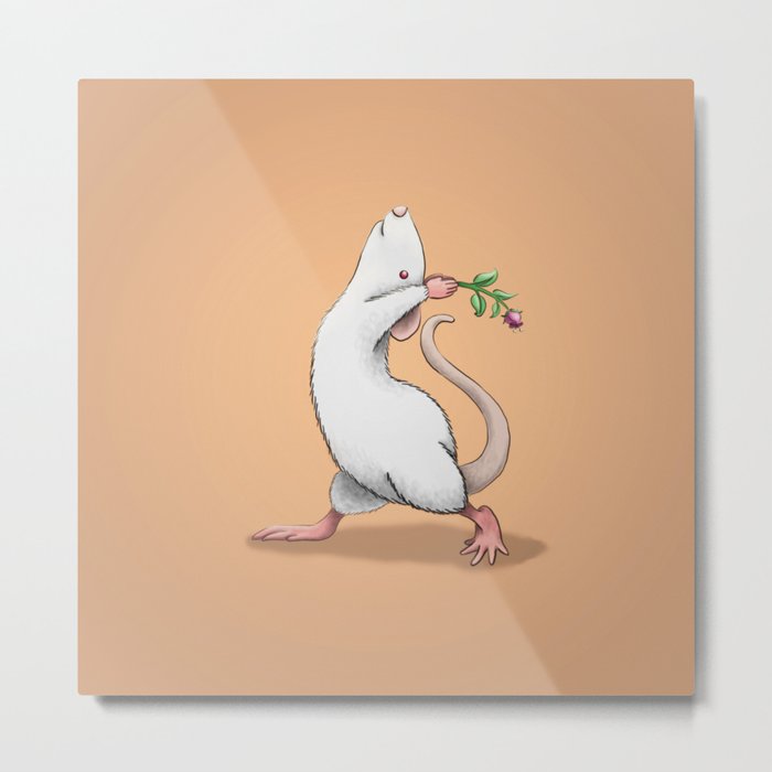 Yoga Rat, Day 6 Metal Print