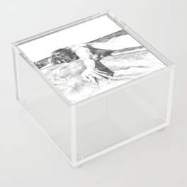 Strandad Acrylic Box