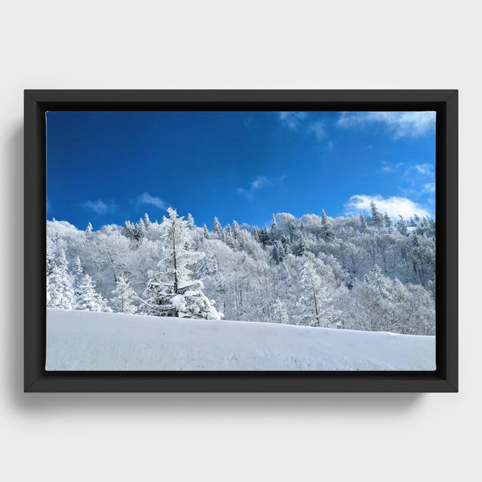 Winter Frost Framed Canvas