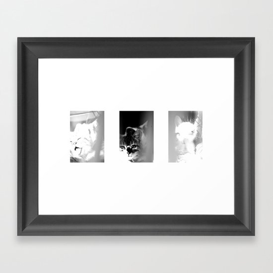 Bliss Kittens Framed Art Print