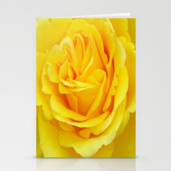 Beautiful Yellow Rose Closeup Stationery Cards