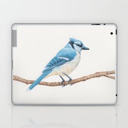 Blue Jay Laptop & iPad Skin