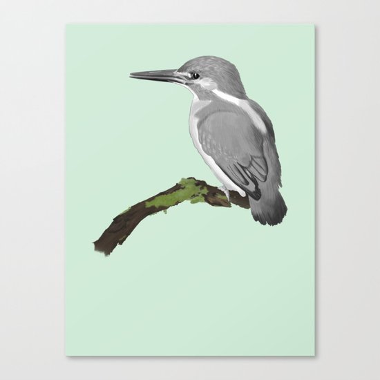 Kingfisher in gray Canvas Print