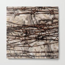 Barbed Wire Pattern Metal Print