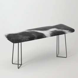 Black and White Cowhide Animal Print Bench