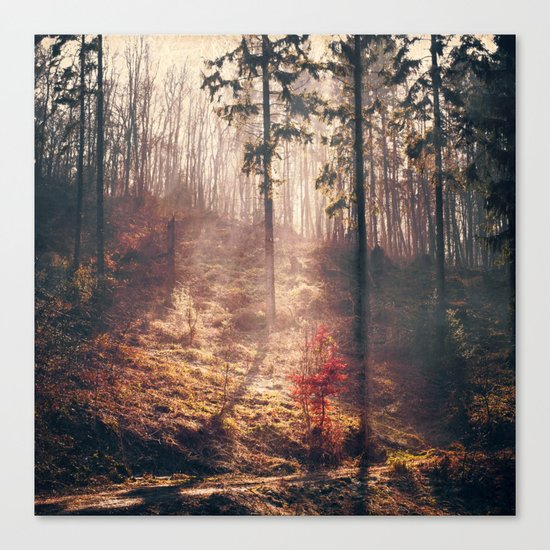 Little Red Tree Canvas Print