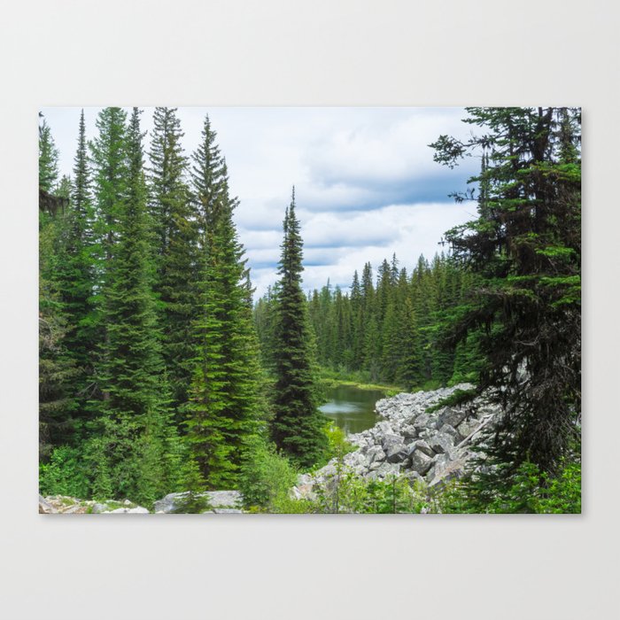 Mountain Top Pond Canvas Print