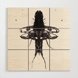 Beetle Inkblot Wood Wall Art